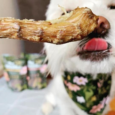 Crunchy Dehydrated Chicken Necks for Dogs - Healthy Dog Treats